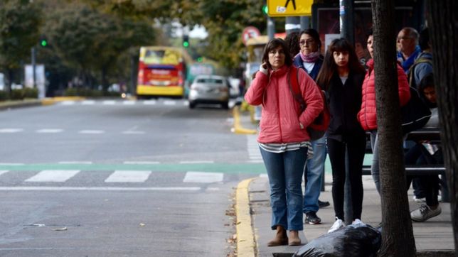 el paro de micros de este viernes no afectara a la plata: habra servicio normal