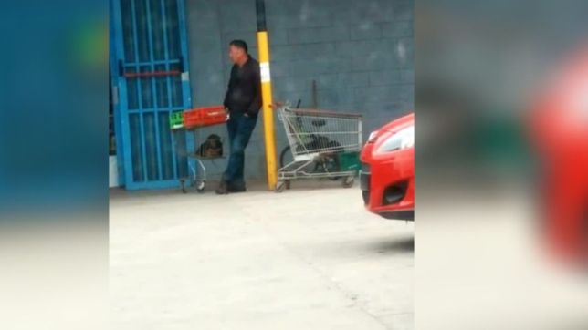 denuncian que venden y maltratan perritos en un supermercado chino de la plata