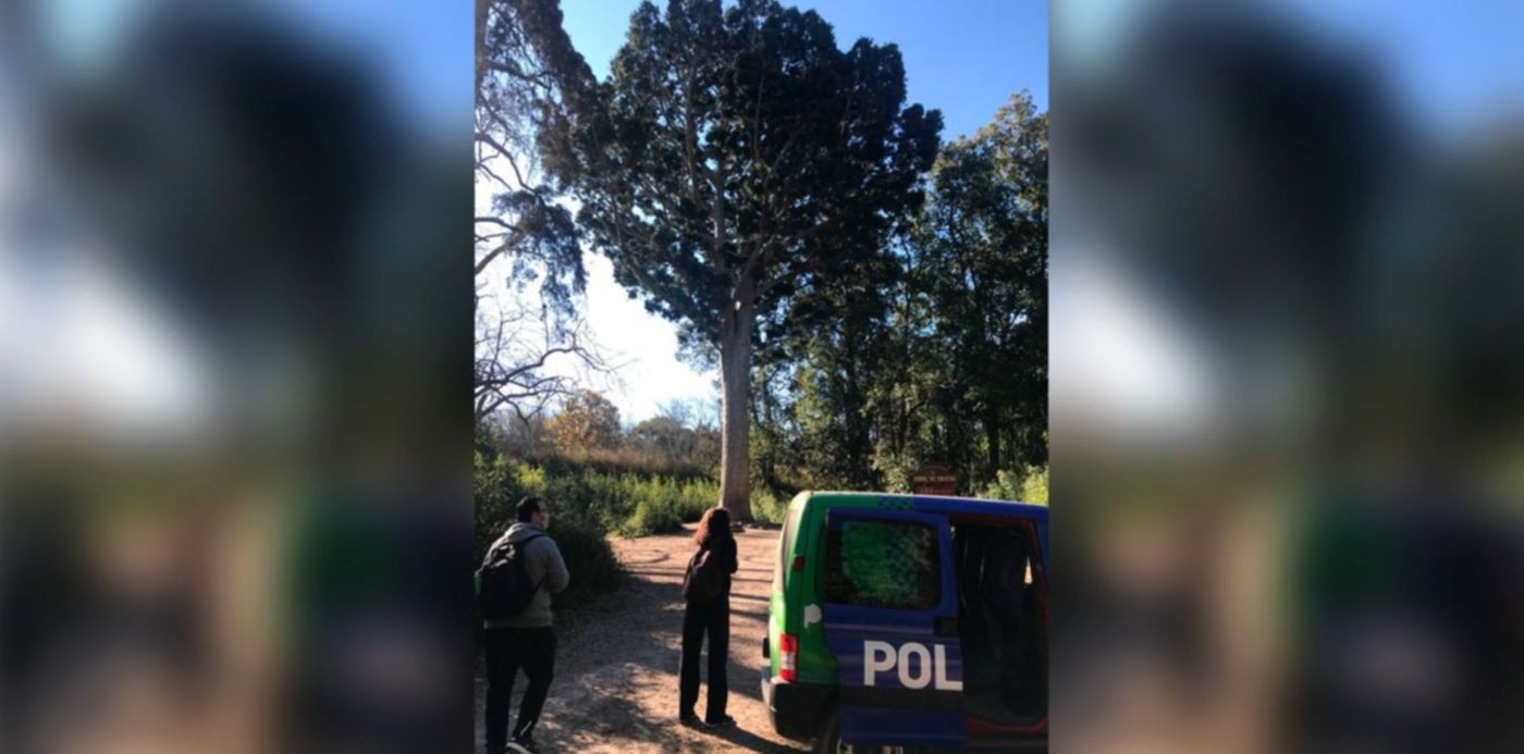 1630282734391.jpg?x=10&y=2&width=1480&height=740&rotate=0&scaleX=1&scaleY=1&ow=1500&oh=742&&cw=1920&ch=950