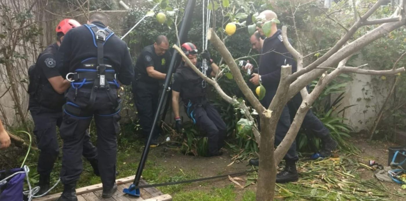 1536526688194.jpeg?x=12&y=177&width=1259&scaleX=1&oh=960&height=630&rotate=0&scaleY=1&ow=1280&&cw=1920&ch=950