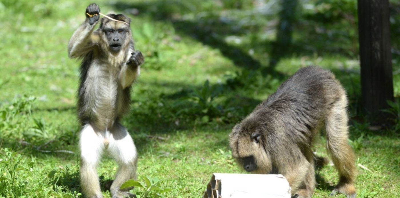 Zoológico Bioparque
