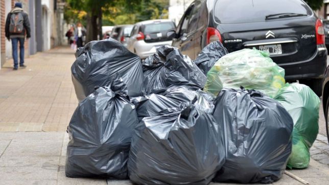 a pesar del paro, los vecinos sacaron la basura y se acumulo en las calles de la plata