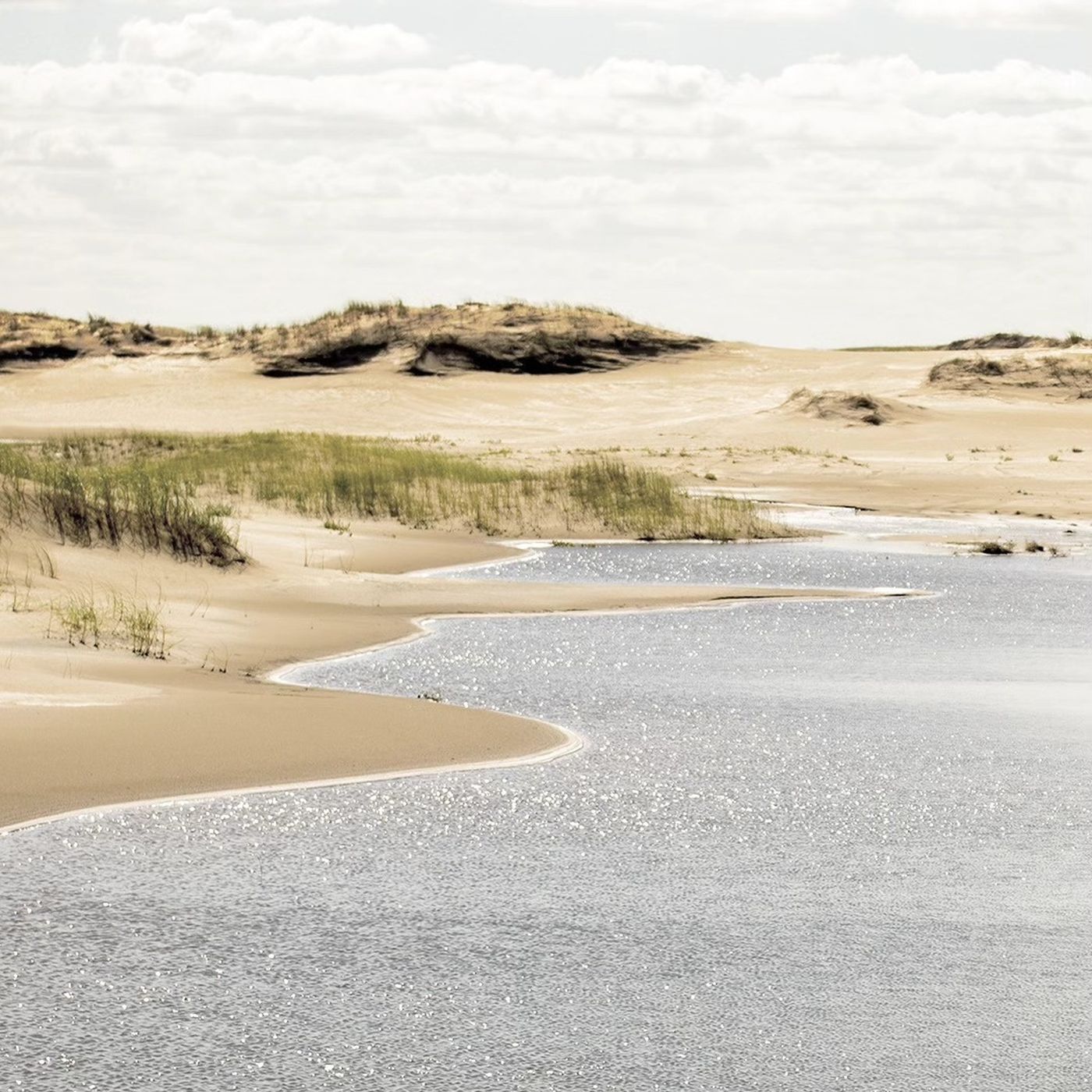 Desde lo alto, la reserva ofrece vistas panorámicas de los paisajes de dunas y el océano.