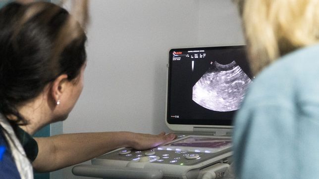 la veterinaria platense a la que le robaron un ecografo pudo comprar uno nuevo para volver a trabajar