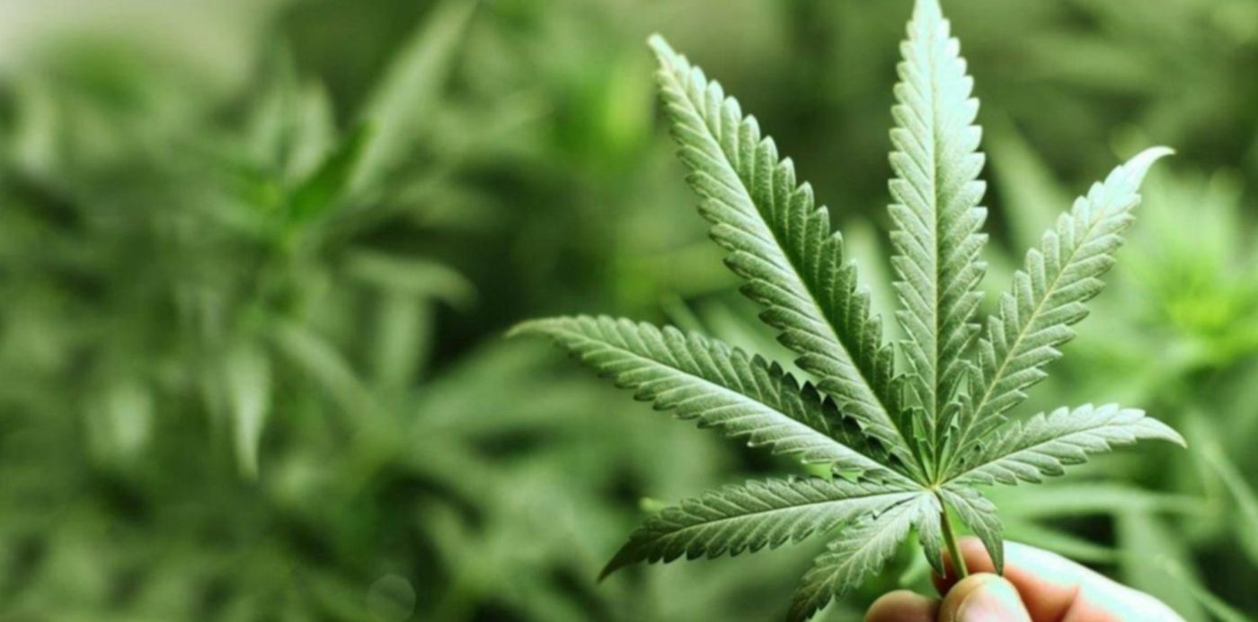 1537539588200.jpg?x=9&y=41&width=1179&height=589&rotate=0&scaleX=1&scaleY=1&ow=1200&oh=640&&cw=1920&ch=950