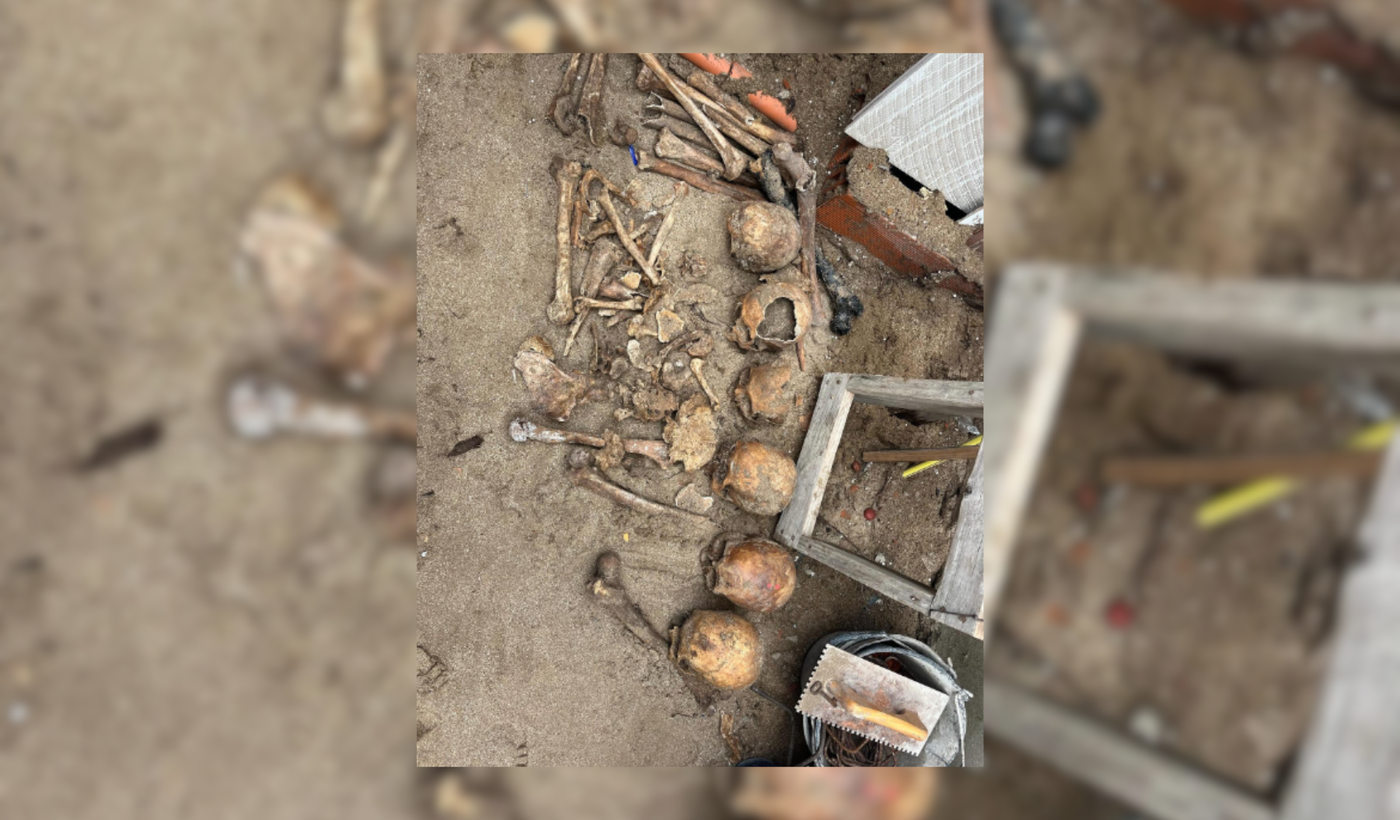 Cráneos Pinamar.png