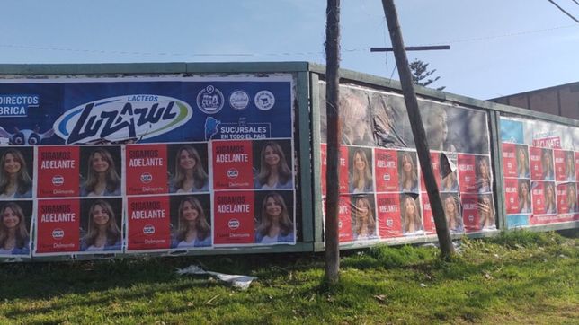 el extrano caso de la precandidata desconocida que hace campana de afiches en la plata