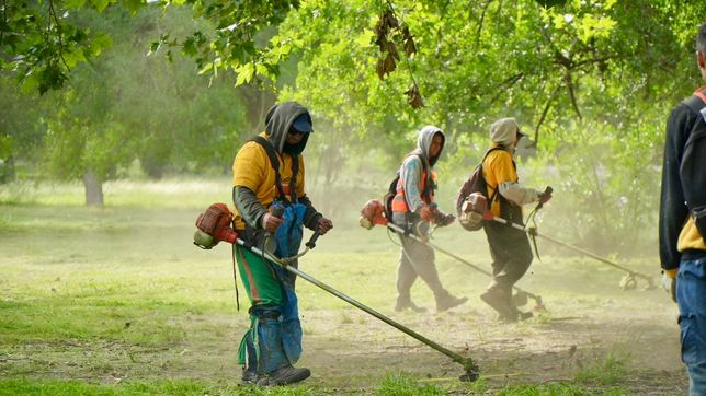 ¿que barrios de la plata seran fumigados este martes?