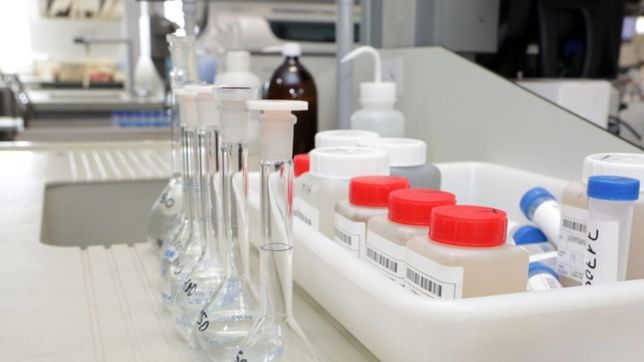 el ministerio de salud estudia un segundo caso sospechoso de viruela del mono en argentina