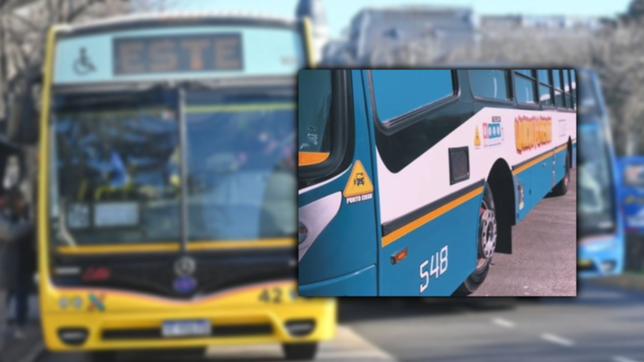 ¿cual es el punto ciego de los micros al que hay que estar atento para evitar accidentes?