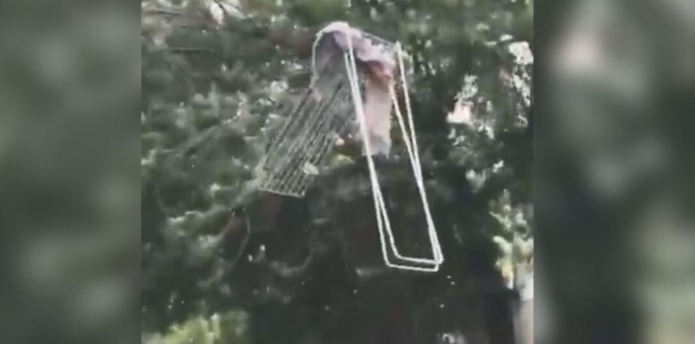 1576177685101.jpg?width=1263&rotate=0&scaleX=1&scaleY=1&x=40&height=632&ow=1350&oh=650&y=4&&cw=1920&ch=950