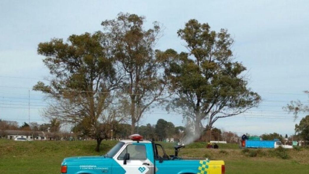 Barrio por barrio: el cronograma de fumigación contra el dengue en La Plata