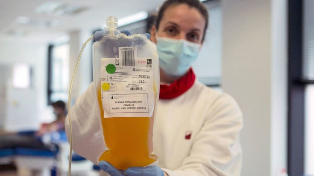 Paso a paso, ¿cómo son los ensayos con plasma  para combatir al coronavirus?