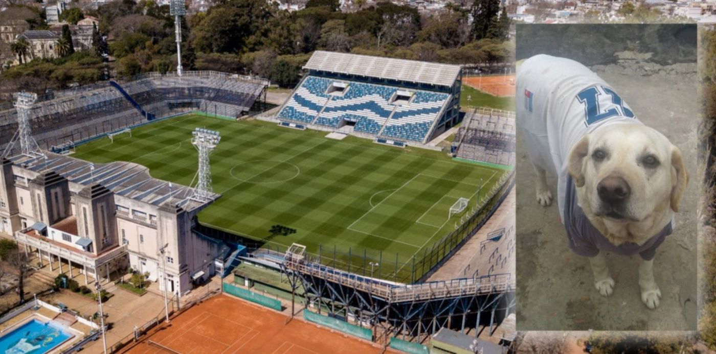 1542036091652.jpg?oh=843&x=11&ow=1500&height=740&rotate=0&scaleX=1&scaleY=1&y=53&width=1481&&cw=1920&ch=950