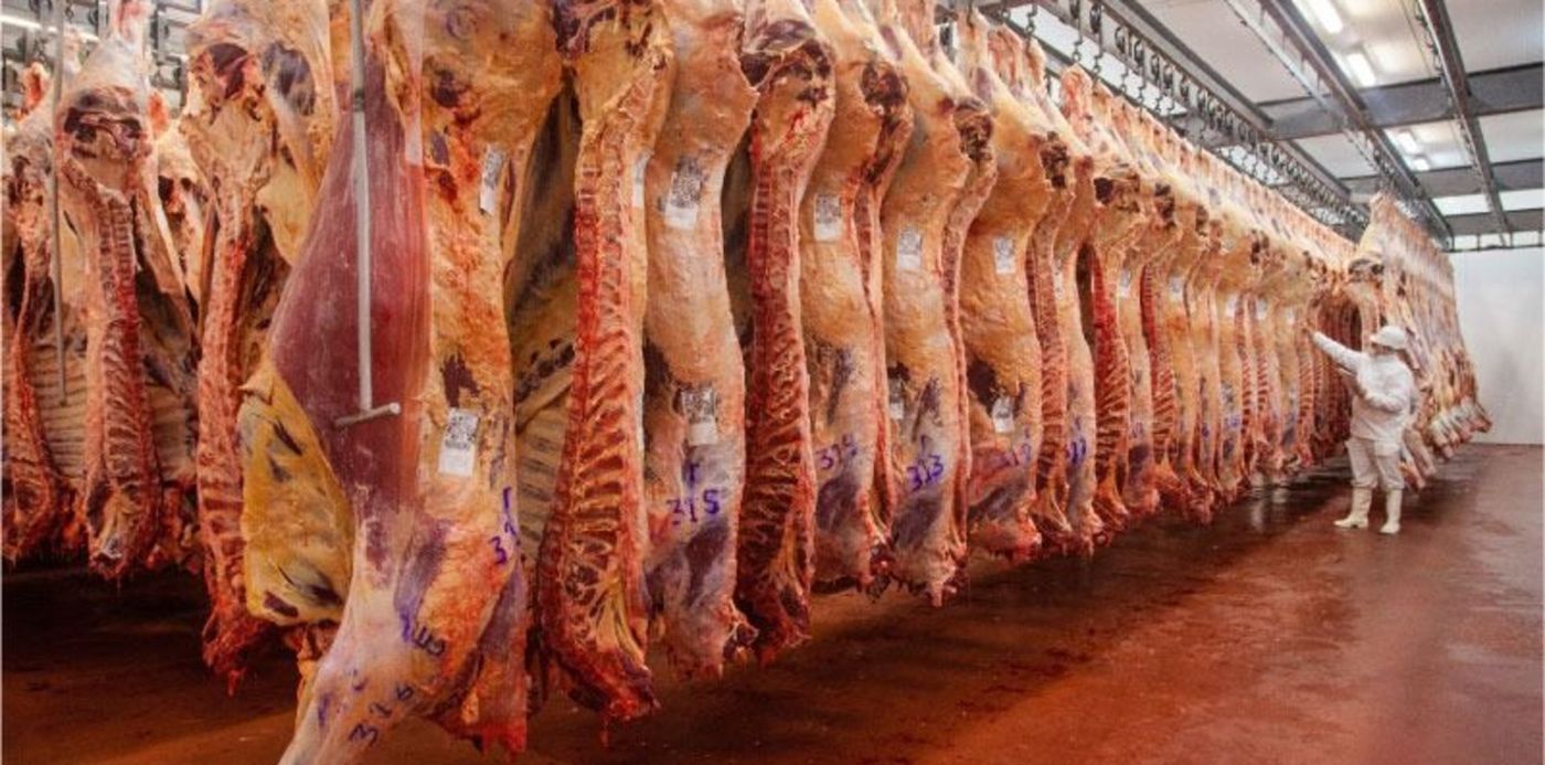 1574465548250.jpg?y=37&height=401&scaleX=1&scaleY=1&ow=801&x=0&width=801&rotate=0&oh=480&&cw=1920&ch=950