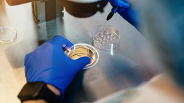 buscan ampliar a 30 dias la licencia por fertilizacion asistida para las trabajadoras municipales de la plata buscan ampliar a 30 dias la licencia por fertilizacion asistida para las trabajadoras municipales de la plata