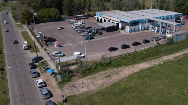 volvieron las filas para hacer la vtv en la ciudad: ¿como evitar la eterna espera?