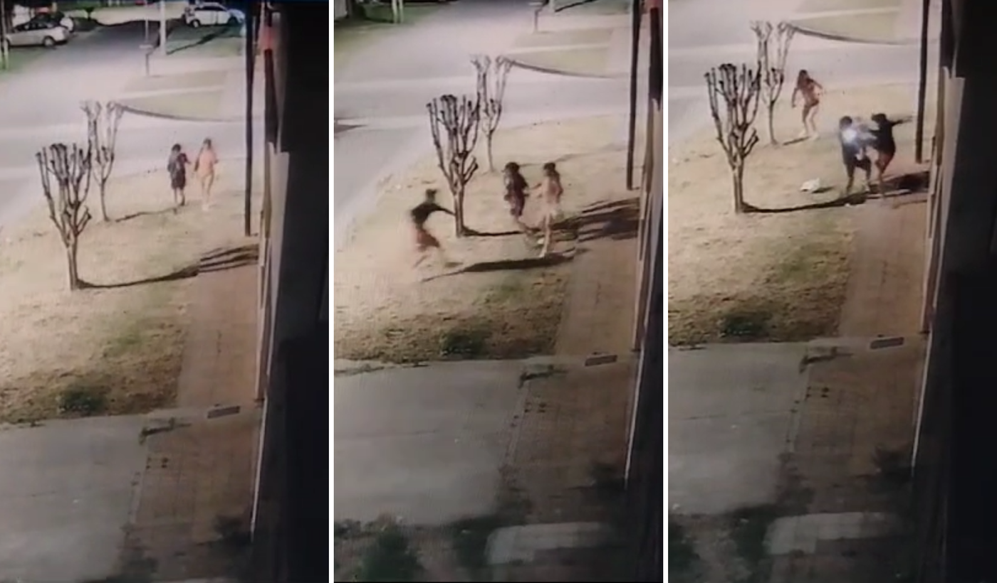 Diseño sin título - 2024-10-21T084648.821.png