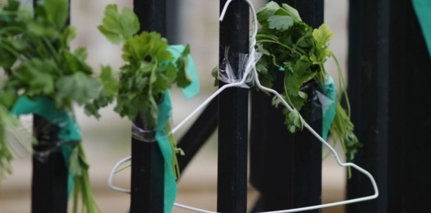 1605006873879.jpg?x=7&y=107&width=1490&height=745&rotate=0&scaleX=1&scaleY=1&ow=1500&oh=1000&&cw=1920&ch=950