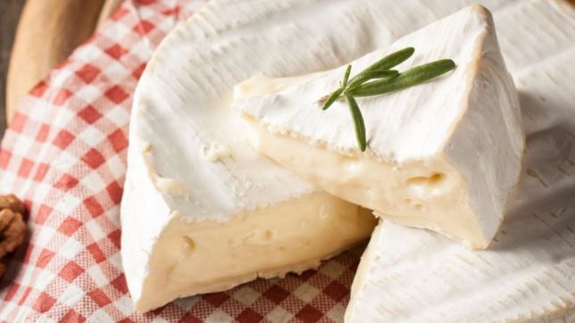 dos quesos, una sal gruesa y varios productos medicos fueron prohibidos por la anmat