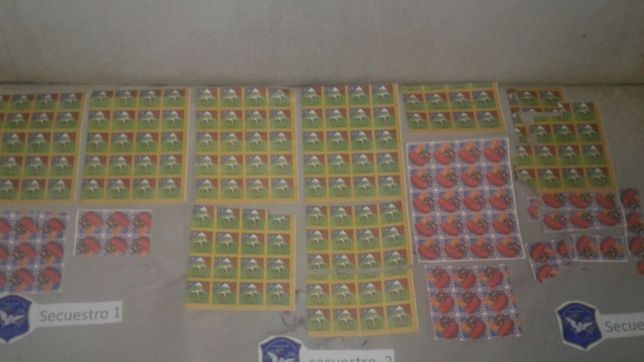 video: asi fue el operativo en la casa de ?la reina de la pepa? donde hallaron 3600 dosis de lsd