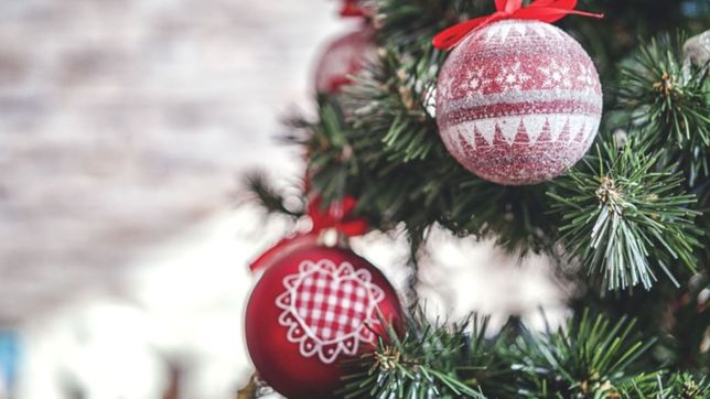 juguetes, pan dulce y gaseosas, la campana solidaria de un bar platense por navidad