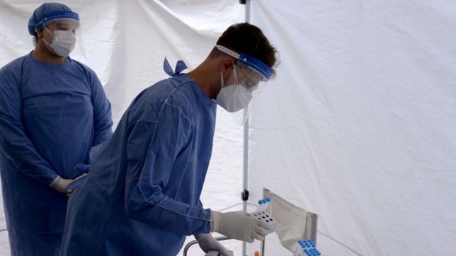 marcado descenso de casos y muertes por covid en argentina