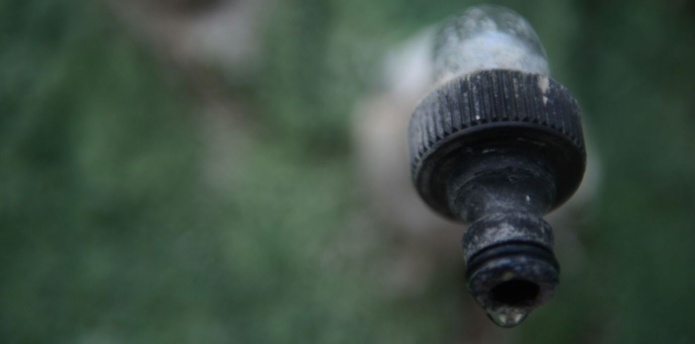 1580776083484.jpg?x=7&y=178&width=1486&scaleX=1&scaleY=1&ow=1500&height=743&rotate=0&oh=996&&cw=1920&ch=950