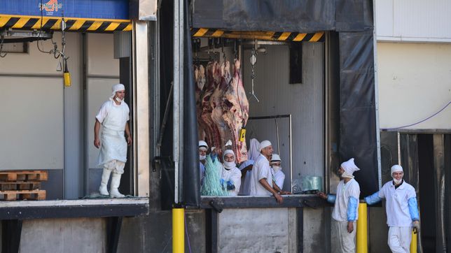 el frigorifico gorina reabre su carniceria y vuelve a atender al publico