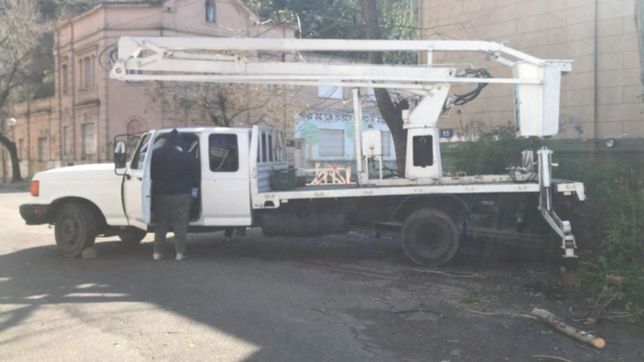 detienen una poda ilegal en pleno centro de la plata: habria multas de hasta 530 mil pesos