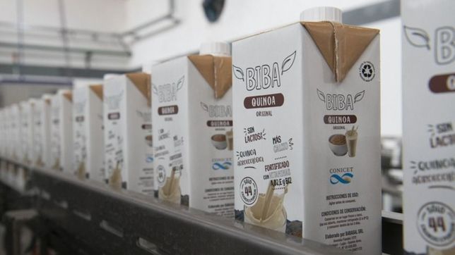 asi es el primer alimento bebible a base de quinoa que desarrollaron expertos de la unlp