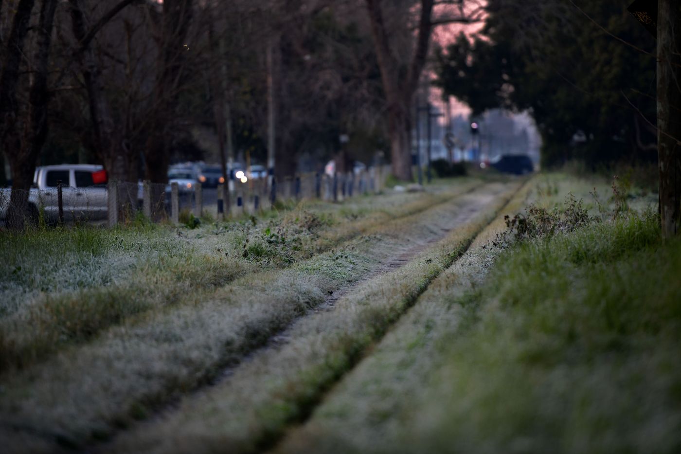 heladas frio en La Plata-0001 (13).JPG