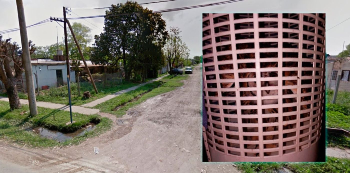 1549282060841.jpg?y=51&width=1481&height=741&ow=1500&oh=843&x=9&rotate=0&scaleX=1&scaleY=1&&cw=1920&ch=950