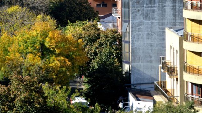 miercoles radiante de sol y muy agradable en la ciudad