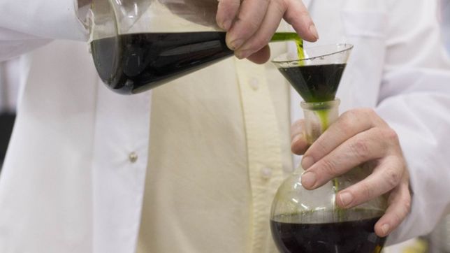 como es el centro de investigacion de la unlp que cultiva cannabis para uso medicinal