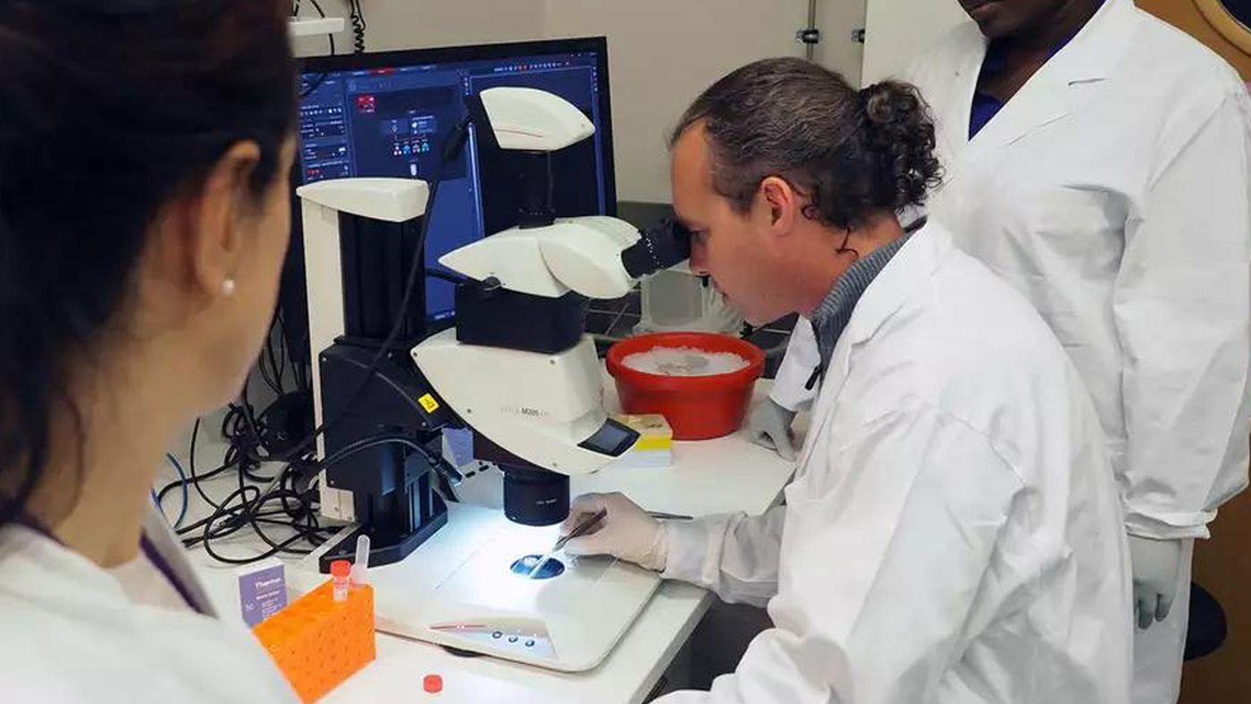 Marcos Sterkel, investigador del Conicet La Plata, el único argentino que participo de la investigación