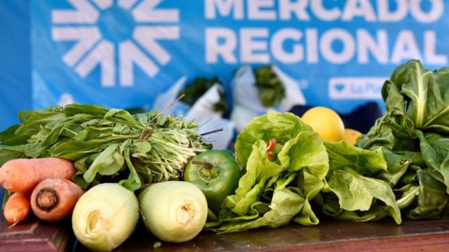 carne, frutas, verduras y mas: la lista de ofertas del mercado central de la plata