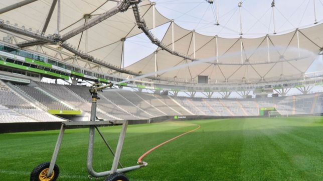 la seleccion argentina jugara en la plata: ¿que partidos se disputaran en el unico?