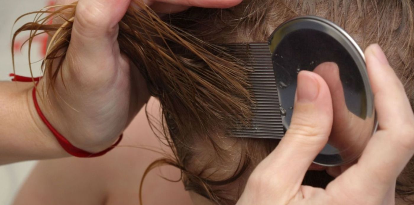 1548077169467.jpg?x=6&y=215&height=742&oh=1029&width=1485&rotate=0&scaleX=1&scaleY=1&ow=1500&&cw=1920&ch=950