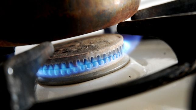 arranca el debate por el aumento en las tarifas de gas y en la plata piden que sea del 400%