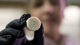 investigadoras de la unlp crearon esponjas ecologicas y reutilizables a partir de plumas de pollos investigadoras de la unlp crearon esponjas ecologicas y reutilizables a partir de plumas de pollos