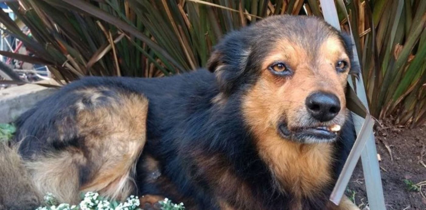 1532701409349.jpg?&cw=1920&ch=950