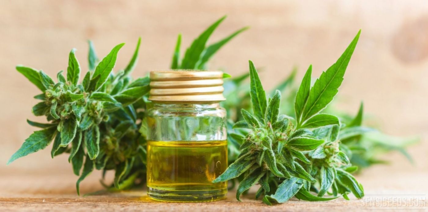 1561654119563.jpg?width=1485&height=742&scaleX=1&ow=1500&y=49&rotate=0&scaleY=1&oh=791&x=5&&cw=1920&ch=950