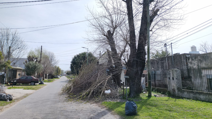 Vecinos reclaman por ramas, calles en mal estado y árboles con riesgo de caída