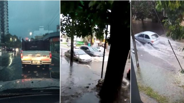 video: diluvio y hubo anegamientos en gran parte de la plata