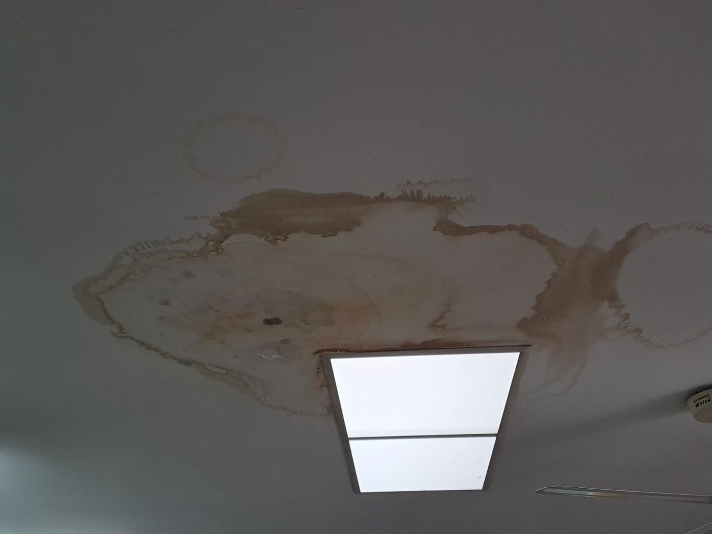 Ante cada lluvia se agravan las filtraciones de agua por los techos del edificio de 7 y 56.