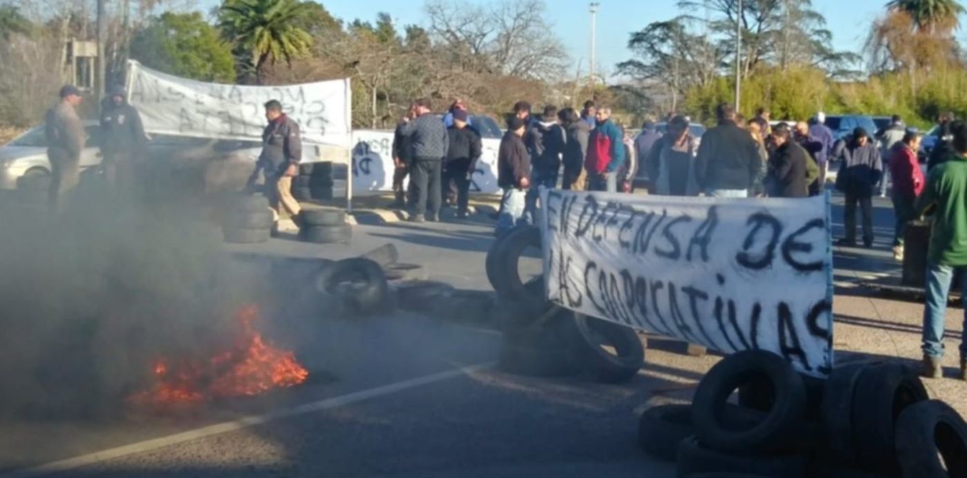 1563382489422.jpg?y=192&width=1032&rotate=0&scaleY=1&ow=1040&x=3&scaleX=1&oh=780&height=516&&cw=1920&ch=950