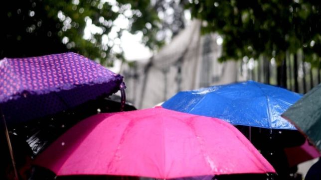 revelan cuanto es lo que llovio hasta ahora en la plata