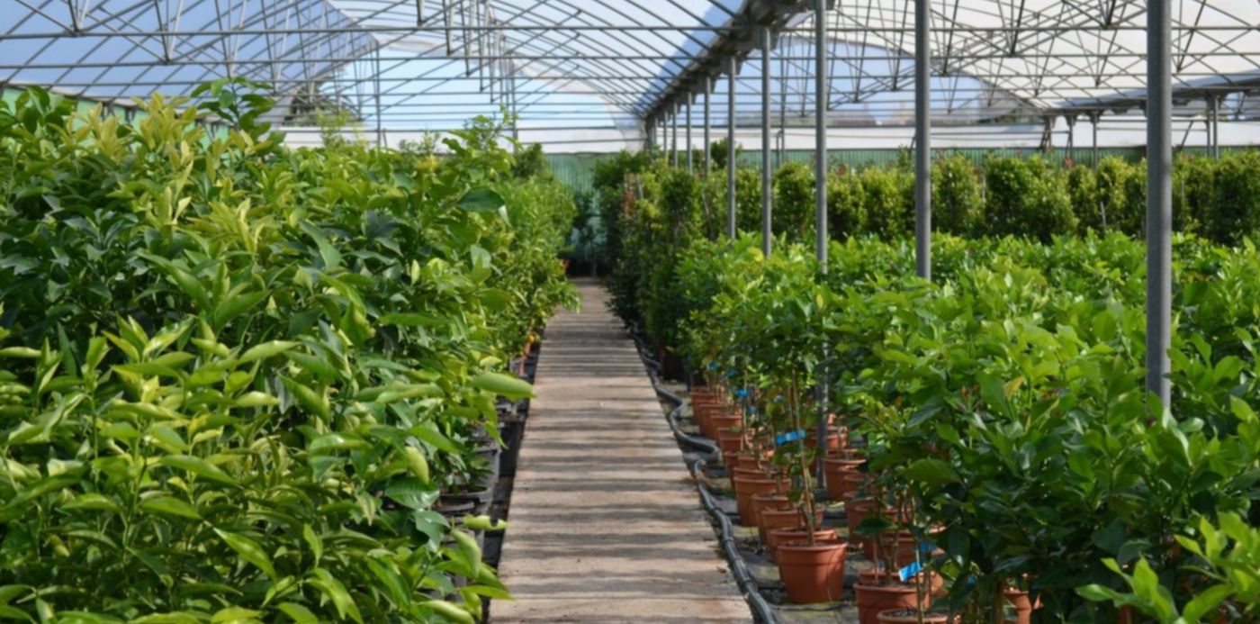 1638273397950.jpg?x=7&y=73&width=1482&height=742&rotate=0&scaleX=1&scaleY=1&ow=1500&oh=993&&cw=1920&ch=950