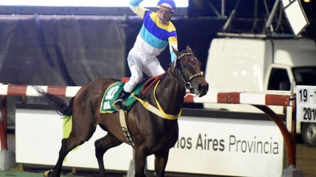 este domingo se corre la 98° edicion del gran premio dardo rocha en el hipodromo platense
